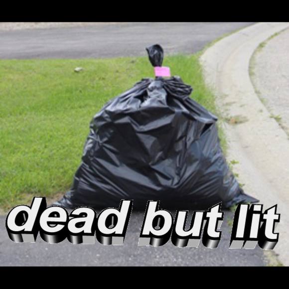 Meet your Posher, Ruby - Picture 1 of 1